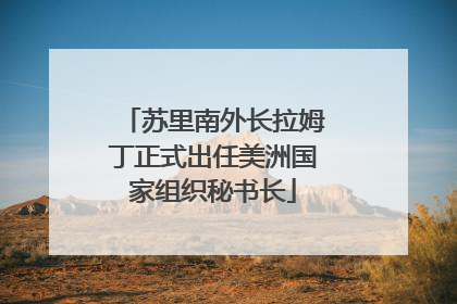 苏里南外长拉姆丁正式出任美洲国家组织秘书长