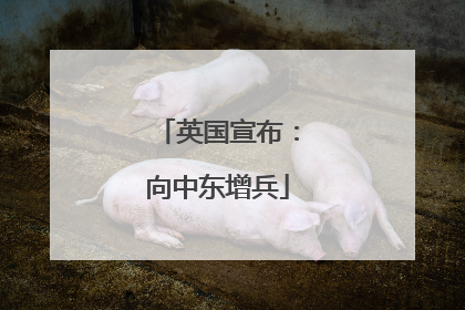 英国宣布：向中东增兵
