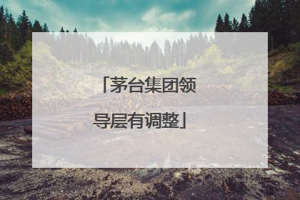 茅台集团领导层有调整