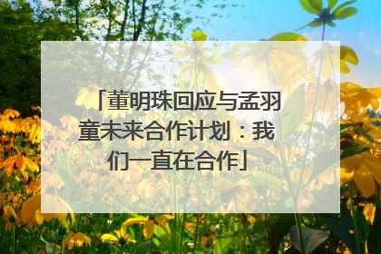 董明珠回应与孟羽童未来合作计划：我们一直在合作