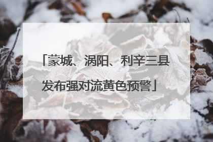 蒙城、涡阳、利辛三县发布强对流黄色预警