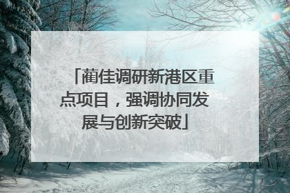 蔺佳调研新港区重点项目，强调协同发展与创新突破