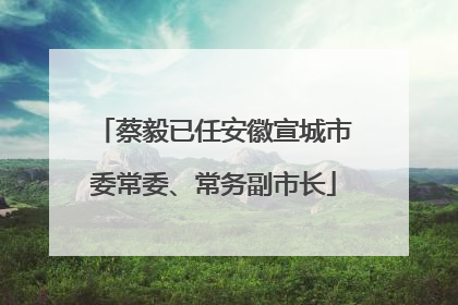 蔡毅已任安徽宣城市委常委、常务副市长