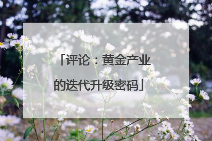 评论：黄金产业的迭代升级密码
