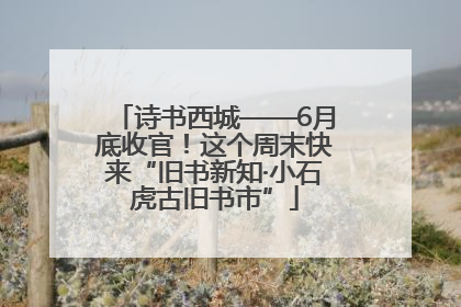 诗书西城——6月底收官！这个周末快来“旧书新知·小石虎古旧书市”
