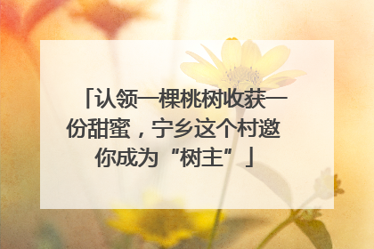 认领一棵桃树收获一份甜蜜，宁乡这个村邀你成为“树主”