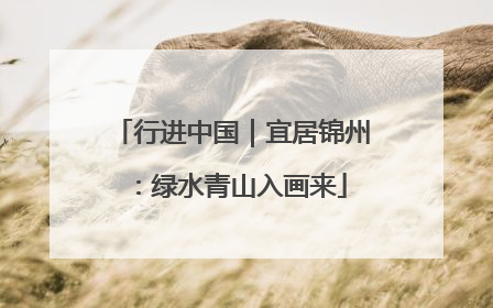 行进中国｜宜居锦州：绿水青山入画来