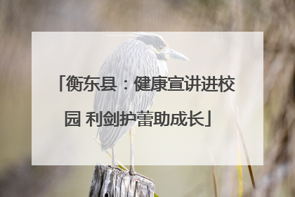 衡东县：健康宣讲进校园 利剑护蕾助成长
