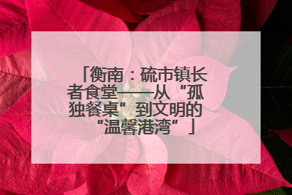 衡南：硫市镇长者食堂——从“孤独餐桌”到文明的“温馨港湾”