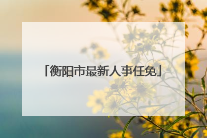 衡阳市最新人事任免