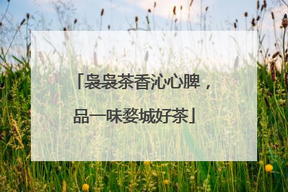 袅袅茶香沁心脾，品一味婺城好茶