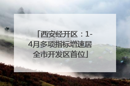 西安经开区：1-4月多项指标增速居全市开发区首位