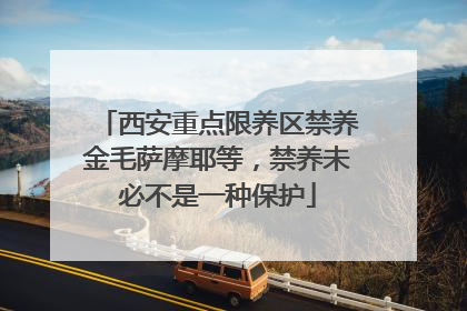 西安重点限养区禁养金毛萨摩耶等，禁养未必不是一种保护