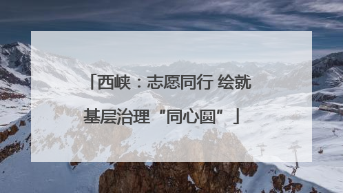 西峡：志愿同行 绘就基层治理“同心圆”