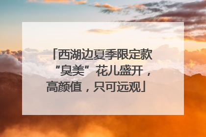 西湖边夏季限定款“臭美”花儿盛开，高颜值，只可远观