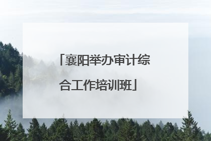 襄阳举办审计综合工作培训班