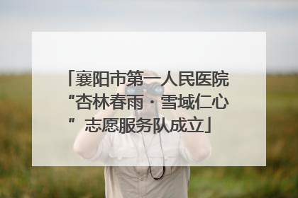 襄阳市第一人民医院“杏林春雨・雪域仁心”志愿服务队成立