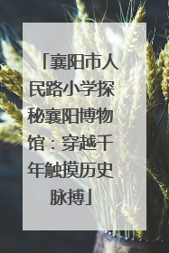 襄阳市人民路小学探秘襄阳博物馆：穿越千年触摸历史脉搏