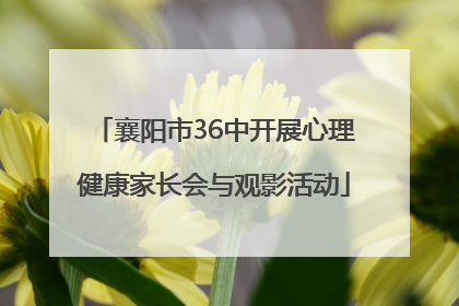 襄阳市36中开展心理健康家长会与观影活动