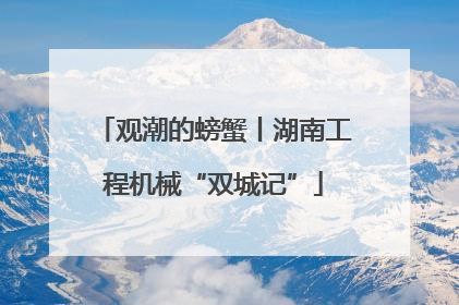 观潮的螃蟹丨湖南工程机械“双城记”
