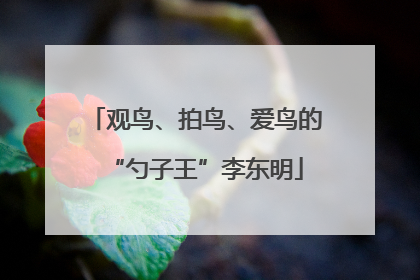 观鸟、拍鸟、爱鸟的“勺子王”李东明