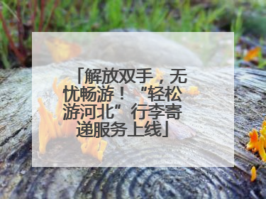 解放双手，无忧畅游！“轻松游河北”行李寄递服务上线