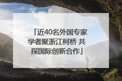 近40名外国专家学者聚浙江柯桥 共探国际创新合作