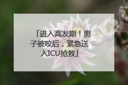 进入高发期！男子被咬后，紧急送入ICU抢救