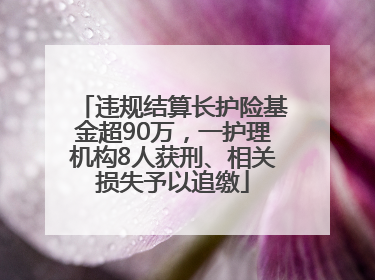 违规结算长护险基金超90万，一护理机构8人获刑、相关损失予以追缴