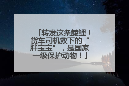 转发这条鲮鲤！货车司机救下的“胖宝宝”，是国家一级保护动物！
