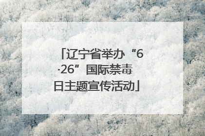 辽宁省举办“6·26”国际禁毒日主题宣传活动