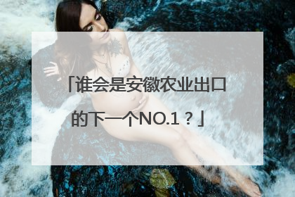 谁会是安徽农业出口的下一个NO.1？