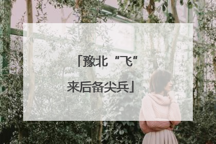 豫北“飞”来后备尖兵
