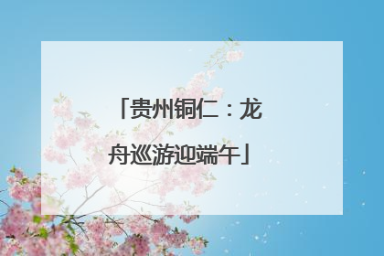 贵州铜仁：龙舟巡游迎端午