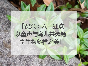 资兴：六一狂欢 以童声与鸟儿共舞畅享生物多样之美