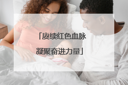 赓续红色血脉 凝聚奋进力量