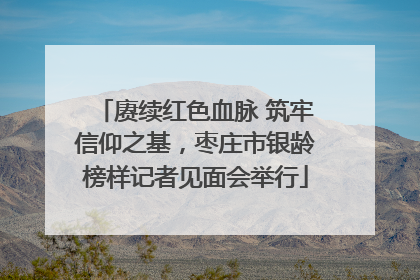 赓续红色血脉 筑牢信仰之基，枣庄市银龄榜样记者见面会举行