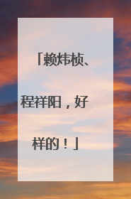 赖炜桢、程祥阳，好样的！