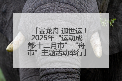 赛龙舟 迎世运！2025年“运动成都·十二月市”“舟市”主题活动举行