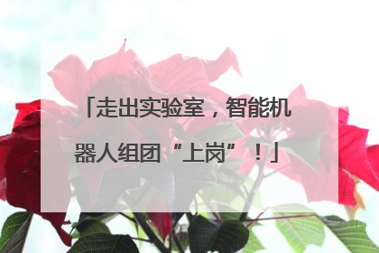 走出实验室，智能机器人组团“上岗”！