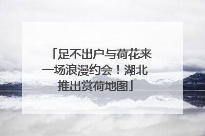 足不出户与荷花来一场浪漫约会！湖北推出赏荷地图