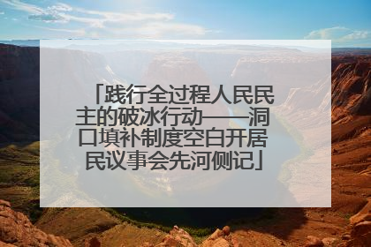 践行全过程人民民主的破冰行动——洞口填补制度空白开居民议事会先河侧记