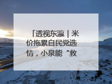 透视东瀛｜米价拖累自民党选情，小泉能“救”石破茂吗