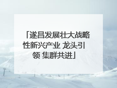 遂昌发展壮大战略性新兴产业 龙头引领 集群共进