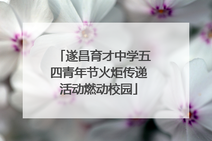 遂昌育才中学五四青年节火炬传递活动燃动校园