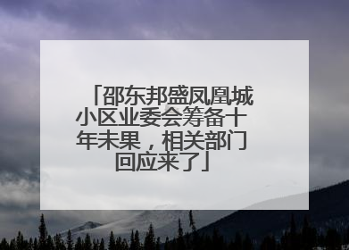 邵东邦盛凤凰城小区业委会筹备十年未果，相关部门回应来了