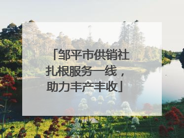 邹平市供销社扎根服务一线，助力丰产丰收