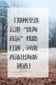 郑州至连云港“铁海直运”线路打通，河南再添出海新通道