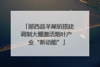 郧西县羊尾镇搭建调制大棚激活烟叶产业“新动能”