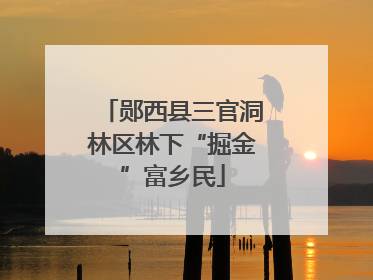 郧西县三官洞林区林下“掘金”富乡民